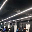 팀 해명 짐 이미지