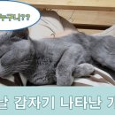 묘연공방 이미지