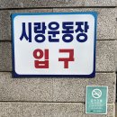 시랑운동장 | 안산 월피동 시랑 운동장 방문 후기