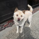 우풍농장 이미지