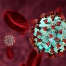 산불처럼 번지는 ‘델타 변이’ 감염 시 더 아프기까지 이미지