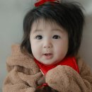 하루 마이데일리