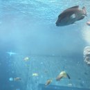 낭만하우스 이미지