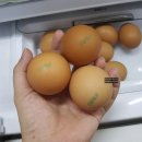 계성농장 이미지