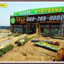 허브내음 이미지