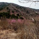 진양화원 - 종로구 종로5길 68 | 진양화원