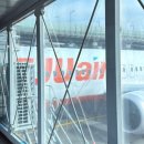 제주건기주 | 제주항공 발리 직항 2회차 후기 (항공권 가격, 체크인, 기내식)