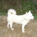 선규농장 이미지