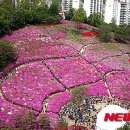 책나라 이미지