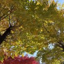 은성가든 | 신월동고기집 은성가든 불고기 전골 점심 후기