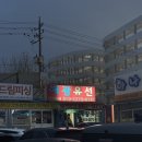 해광 | 인천) 남항유어선부두 [ 해광유선 ] 피닉스호 오전배 봄 쭈꾸미낚시
