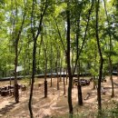 계남 유아숲체험원 이미지