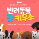 펫키우소 이미지