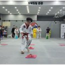 성신 태권도 이미지
