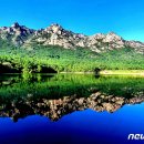 축제(동양화) 이미지