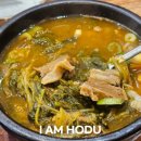 홍메밀X진갈비탕 네이버블로그