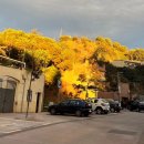 벙커(bunker) 이미지