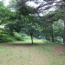 홍천무네미별마루관광농원 이미지