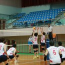 새얼학교 이미지