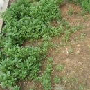 간식창고 이미지