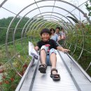 박물관횟집 이미지