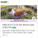 호포교 정자옆 | 양산 라벤더축제 느티나무의사랑카페 다녀온 후기(예약, 주차 등)
