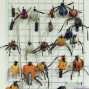 충남야생동물구조센터 이미지