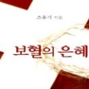 나서울은혜교회 이미지