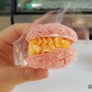 마카롱데이즈 이미지