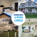 스카이N스파펜션 이미지