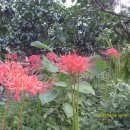 석산농장 이미지