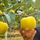 참좋은몰 이미지