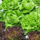 상설시장1길 이미지