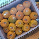 따봉청과 이미지