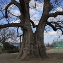 한재초등학교 이미지