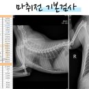 은빛동물병원 이미지