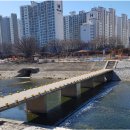 경대교 동쪽 이미지