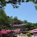 남부순환로328길1-5_ 이미지