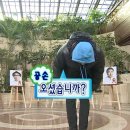 행복나무이발관 - 광주시 양벌로 118-19 | 7박 8일 다낭 여행 : 03 다낭근교 호이안 여행하기 (호이안 올드타운, 소원배, 파피노카페)
