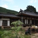 원당동 느티나무 | 영양 주강정 및 사고종택(柱江亭 및 沙皐宗宅)