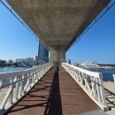 해오름 | 포항 해오름대교 전망대 후기｜개통일, 주차, 층별 안내(ft. 송도 영일대 걸어서 이동)