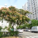 동아경로당 이미지