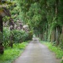 남원읍-122 이미지