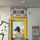 아이캣 | 익산역 근처 데이트코스 익산 고양이카페 아이캣유 방문 후기