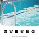 파랑펜션 | 강원도 4M 잠수풀 수영장 보유한 양양파랑펜션 내돈내산 후기 ⓒ ᴍᴏᴀ sᴛᴏʀʏ