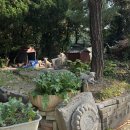 대웅구내식당(경아식당) | 시속 30km 🏃🏻‍♀️🏃🏻‍♀️