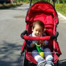 숲속 동키마을 캠핑장 이미지