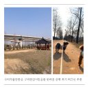 구리시민공원 매점 | 구리가볼만한곳 구리한강시민공원 반려견 산책 후기 피크닉 추천 장소