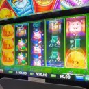 슬롯랜드 이미지