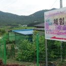 신월리달뜨는마을 이미지